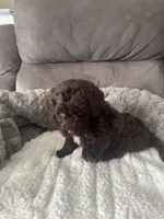 processed/439a1a0e-3e86-4d84-bce3-c53d40f1bc20/listing/bc7f7203-c952-41ff-bfc0-832c4db1ce12/fdd1b32f-5c50-417c-92b5-6a4d00b8c8e9