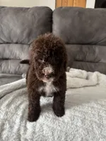 processed/439a1a0e-3e86-4d84-bce3-c53d40f1bc20/listing/c731235b-6fbb-448d-82fb-ed8f52b970db/20cecd05-82e5-403e-ae9a-190e8629414f