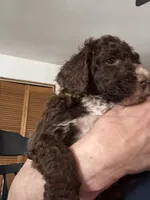 processed/439a1a0e-3e86-4d84-bce3-c53d40f1bc20/listing/c731235b-6fbb-448d-82fb-ed8f52b970db/c9e0613e-a0c5-4e9d-baab-65d15a40c808