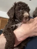 processed/439a1a0e-3e86-4d84-bce3-c53d40f1bc20/listing/c731235b-6fbb-448d-82fb-ed8f52b970db/dccd5c48-1c9a-4adc-b2d6-263b1642a1a4