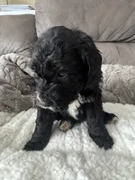 processed/439a1a0e-3e86-4d84-bce3-c53d40f1bc20/listing/f5941b3c-5082-4171-87a4-217a2ba6699d/29bf05f3-b258-4626-963b-dc0bda8b444c