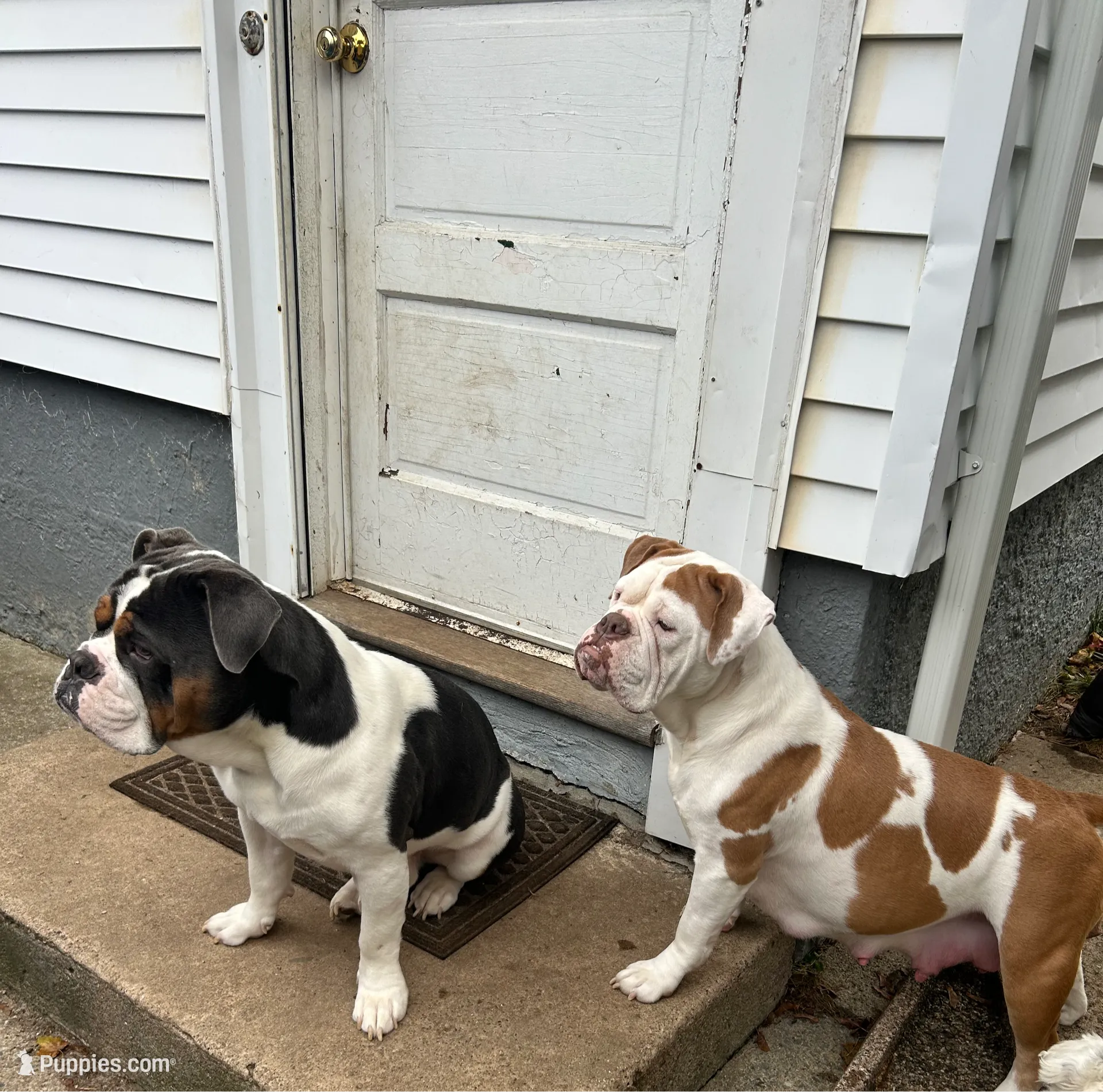 processed/43a30dce-0436-4f91-87c4-8d53b56ffe4b/facility/9d58c398-eedf-4799-9f6a-15c94356fe59