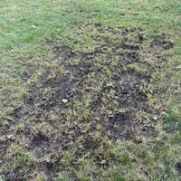 processed/43a30dce-0436-4f91-87c4-8d53b56ffe4b/facility/9fc8480f-a29b-4c9d-9ba1-439570459028