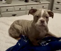 processed/43a30dce-0436-4f91-87c4-8d53b56ffe4b/listing/590ba422-a819-4bea-b2dc-12024dc8d175/1f2a52ce-9a25-41ab-8a1c-86e08f06677a