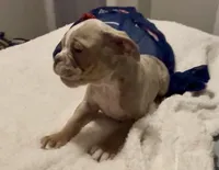 processed/43a30dce-0436-4f91-87c4-8d53b56ffe4b/listing/590ba422-a819-4bea-b2dc-12024dc8d175/9baa36bf-e5c4-447c-8091-d45ac5c903f9