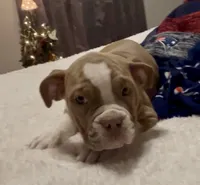 processed/43a30dce-0436-4f91-87c4-8d53b56ffe4b/listing/f63d2e4a-22ed-4d0f-919a-16aa78850c2f/3e6795bf-7ab5-41b1-bb7a-7b5780097fd1