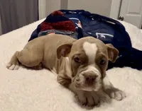 processed/43a30dce-0436-4f91-87c4-8d53b56ffe4b/listing/f63d2e4a-22ed-4d0f-919a-16aa78850c2f/63ee3dfe-5d8e-4922-9548-5ff8e4e970fb