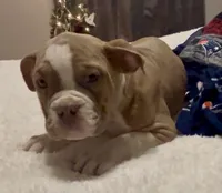 processed/43a30dce-0436-4f91-87c4-8d53b56ffe4b/listing/f63d2e4a-22ed-4d0f-919a-16aa78850c2f/9186af2e-4c1e-435f-a44c-a2926f55e294