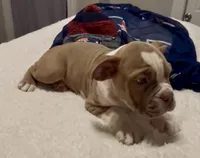 processed/43a30dce-0436-4f91-87c4-8d53b56ffe4b/listing/f63d2e4a-22ed-4d0f-919a-16aa78850c2f/f3ec75db-ef5d-42e1-8471-056c2f7f4bd2