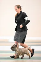 processed/43a3eb99-776a-4e31-ba38-3c737f160539/listing/58577229-fb97-4e00-8ae9-911ba7681685/0088bb3b-41a2-40ce-8664-5e88b7179d27