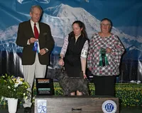 processed/43a3eb99-776a-4e31-ba38-3c737f160539/listing/58577229-fb97-4e00-8ae9-911ba7681685/376e0d68-daa4-492b-ae33-621e3adab61c