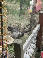 processed/43a3eb99-776a-4e31-ba38-3c737f160539/listing/58577229-fb97-4e00-8ae9-911ba7681685/38c43e8c-213f-4bad-8db7-c7785bd4b7c1