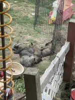 processed/43a3eb99-776a-4e31-ba38-3c737f160539/listing/58577229-fb97-4e00-8ae9-911ba7681685/560cad3a-4e92-447d-b1cf-a7efc8269381