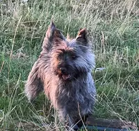 processed/43a3eb99-776a-4e31-ba38-3c737f160539/listing/58577229-fb97-4e00-8ae9-911ba7681685/e49c42ab-0d3f-4e56-910d-fa6d6d848f00