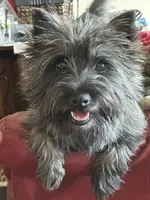 processed/43a3eb99-776a-4e31-ba38-3c737f160539/listing/58577229-fb97-4e00-8ae9-911ba7681685/ff7f289f-daeb-41d7-b9e8-0714c1551409