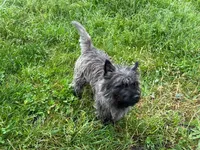 processed/43a3eb99-776a-4e31-ba38-3c737f160539/listing/64c4ec0a-c2b4-4947-9f7e-f0b93c822418/53039ba7-5fa2-4b30-a683-bc79bc7eb789