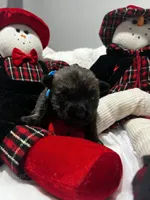 processed/43a3eb99-776a-4e31-ba38-3c737f160539/listing/64c4ec0a-c2b4-4947-9f7e-f0b93c822418/8692e1da-9201-4b0a-ac9a-634216f2352c