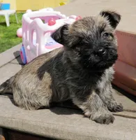 processed/43a3eb99-776a-4e31-ba38-3c737f160539/listing/c76b6e5e-e711-4cf1-9d3a-b8abd92f9af4/c21bc7ee-a565-42fc-8815-4dec537b06b9