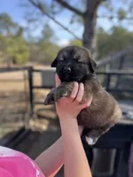 processed/43b36526-383c-4444-82d8-f4e948605846/listing/184c9023-b27c-412f-afa6-fc69692409d3/68147fc7-15e4-4474-ace4-90ba39072621