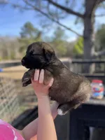 processed/43b36526-383c-4444-82d8-f4e948605846/listing/184c9023-b27c-412f-afa6-fc69692409d3/a9f6b5ff-525f-4604-a83a-67a2fb645b2f