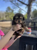 processed/43b36526-383c-4444-82d8-f4e948605846/listing/7bd2aa81-a812-4777-b379-45b3255c3146/0f012320-f3d0-40c1-91e0-205233e886b3