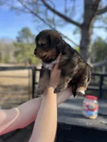 processed/43b36526-383c-4444-82d8-f4e948605846/listing/7bd2aa81-a812-4777-b379-45b3255c3146/7a2369b1-b861-4405-897e-d6751290abad