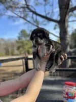 processed/43b36526-383c-4444-82d8-f4e948605846/listing/c38a8964-2c73-4ed1-b36a-291820a37c73/585e7e5a-6b2e-422e-96f7-48cff3e01293