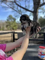 processed/43b36526-383c-4444-82d8-f4e948605846/listing/c38a8964-2c73-4ed1-b36a-291820a37c73/deb959ae-064a-4c39-b50d-2a8ff9f07bb5