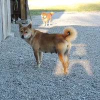 processed/43b38db4-5265-4ca1-97f7-98413e5c0681/facility/08593f17-9f10-4c34-ac00-285d0b0386e6