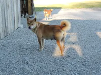 processed/43b38db4-5265-4ca1-97f7-98413e5c0681/facility/08593f17-9f10-4c34-ac00-285d0b0386e6