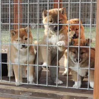 processed/43b38db4-5265-4ca1-97f7-98413e5c0681/facility/db35e218-11bc-43ab-9f37-f00077a42286