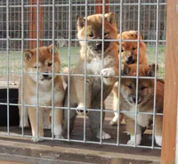 processed/43b38db4-5265-4ca1-97f7-98413e5c0681/facility/db35e218-11bc-43ab-9f37-f00077a42286