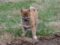 processed/43b38db4-5265-4ca1-97f7-98413e5c0681/listing/4571048e-fd39-4c87-af98-4eee19677d25/bacc0fc1-81f1-46f0-b1e0-113f3a79e41d