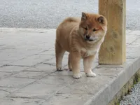 processed/43b38db4-5265-4ca1-97f7-98413e5c0681/listing/c3aa7026-4f73-44ff-b4e2-80974072afcb/be65b312-fd3e-4de6-bae0-bc00a385bf86