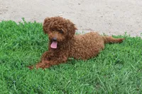 processed/43bae07c-4c77-42c2-b164-adc83e184143/listing/1e14f37e-64b2-4b05-89f5-b54b7f8860f7/52ed397f-01ba-428a-9aac-d3873d4fd0f8