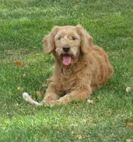 processed/43bae07c-4c77-42c2-b164-adc83e184143/listing/1e14f37e-64b2-4b05-89f5-b54b7f8860f7/9168e638-2f15-4a8c-a700-850ccb8e4b6e