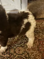 processed/43bea2c2-bc51-49a0-bfdf-cfe6432dd8ba/listing/437fd114-ec4a-48a3-b6a2-e339406be2a1/508fe327-4e8d-4899-8889-b2007e0fd246