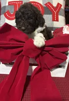 processed/43bea2c2-bc51-49a0-bfdf-cfe6432dd8ba/listing/437fd114-ec4a-48a3-b6a2-e339406be2a1/e4865434-9a81-4a08-9b8a-831e598c42f2