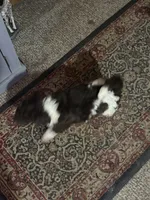 processed/43bea2c2-bc51-49a0-bfdf-cfe6432dd8ba/listing/437fd114-ec4a-48a3-b6a2-e339406be2a1/f39ac841-f265-4020-a8cc-7845731c2a04