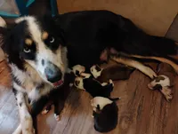 processed/43c2dad1-342d-4478-bf33-9cbb91232d3a/listing/93b84e3a-3c12-4bd1-a834-7aac477451ae/4642ce4f-5fd7-4f70-991b-adf0483779d0