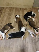 processed/43c2dad1-342d-4478-bf33-9cbb91232d3a/listing/93b84e3a-3c12-4bd1-a834-7aac477451ae/d1e80427-7429-45df-a9dd-cd5a840472eb