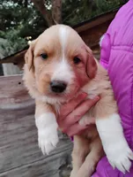 processed/43c2dad1-342d-4478-bf33-9cbb91232d3a/listing/a60a1a24-4c11-4333-ac13-15c14ed6387e/0aba2523-6442-4a1a-ba36-c5677ffb0687