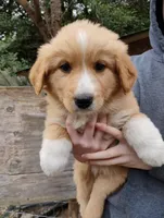 processed/43c2dad1-342d-4478-bf33-9cbb91232d3a/listing/a60a1a24-4c11-4333-ac13-15c14ed6387e/fd67cae9-99ad-43c8-bb6d-dd11a5d61d4f