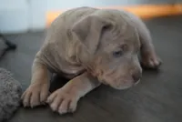 processed/43c4599b-91a0-4dac-8a14-d1f228e7dca1/listing/0fb6e9bc-b4db-4431-80cb-7c691c92d992/25291656-27a6-41ae-9045-430e38166d91