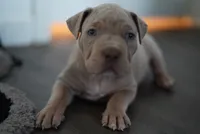 processed/43c4599b-91a0-4dac-8a14-d1f228e7dca1/listing/0fb6e9bc-b4db-4431-80cb-7c691c92d992/669bc50d-b5a7-49d3-aad5-aa6d90269ab3