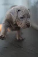 processed/43c4599b-91a0-4dac-8a14-d1f228e7dca1/listing/0fb6e9bc-b4db-4431-80cb-7c691c92d992/cc4854a8-4054-4803-ab64-a00f3c3d9567