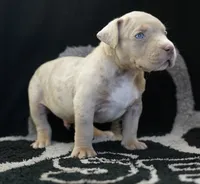 processed/43c4599b-91a0-4dac-8a14-d1f228e7dca1/listing/337369f9-1892-47ba-8178-57eaf44152cb/17b98e6e-4350-48a1-86b8-81a724f28518