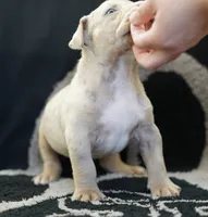 processed/43c4599b-91a0-4dac-8a14-d1f228e7dca1/listing/337369f9-1892-47ba-8178-57eaf44152cb/c20a78af-e23f-48be-b91c-23e7b6ced95c