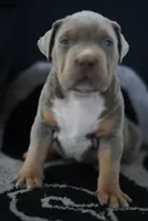 processed/43c4599b-91a0-4dac-8a14-d1f228e7dca1/listing/6da10b74-e80a-486e-88ea-e956a695270b/a9911aa8-8a5a-4f85-9eb5-f0f5464eea8a