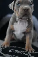 processed/43c4599b-91a0-4dac-8a14-d1f228e7dca1/listing/6da10b74-e80a-486e-88ea-e956a695270b/e056780a-8ae1-42c9-941f-fcb9d3f4ae3d